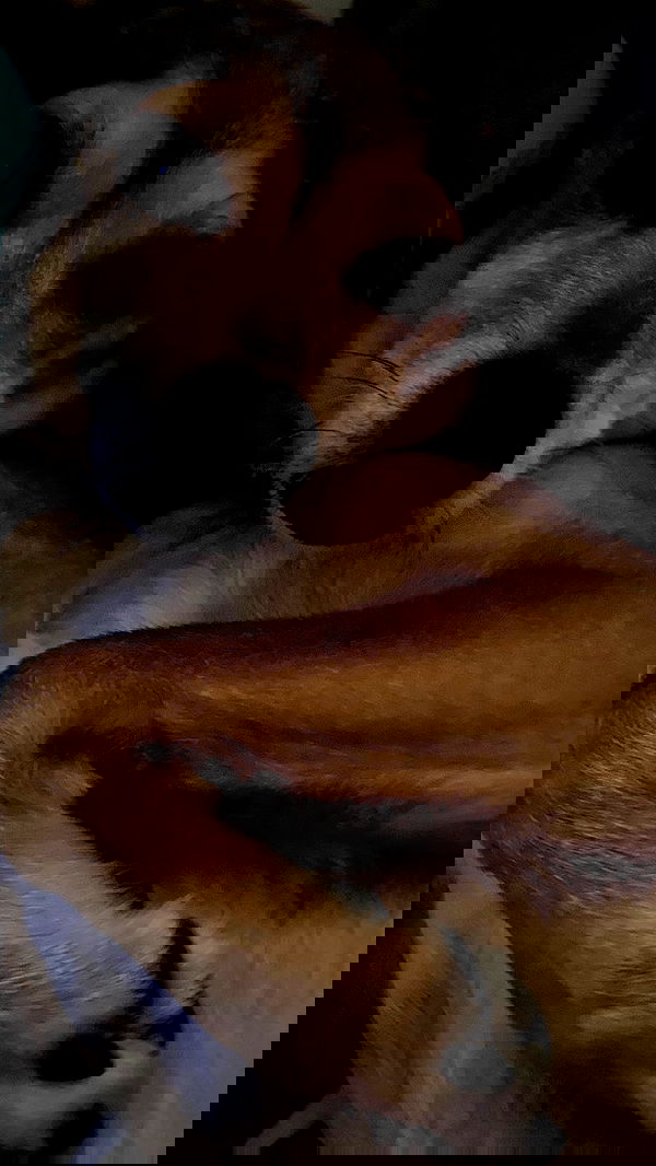 dustheadd dustheadd archive image