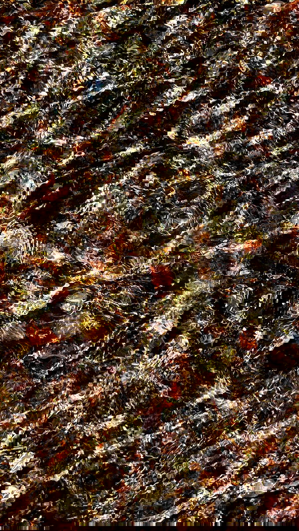 dustheadd dustheadd archive image