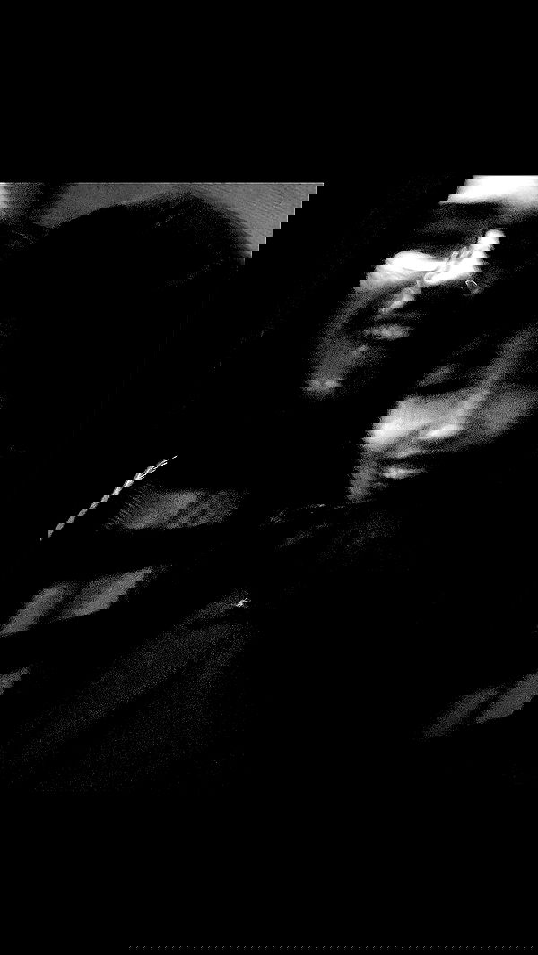 dustheadd dustheadd archive image