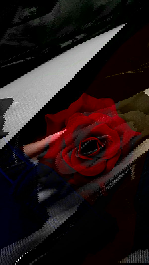 dustheadd dustheadd archive image