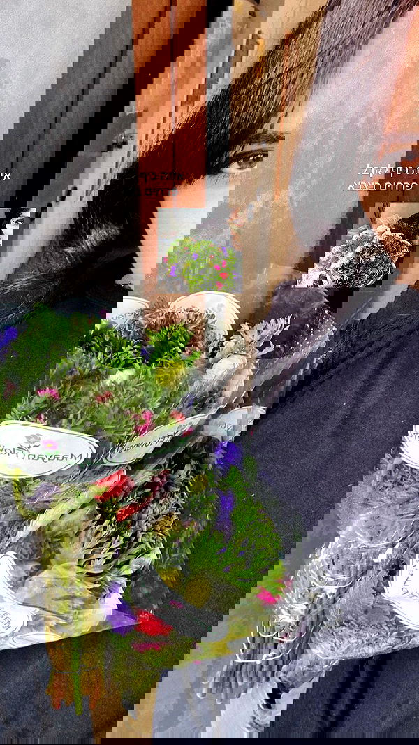 dustheadd dustheadd archive image