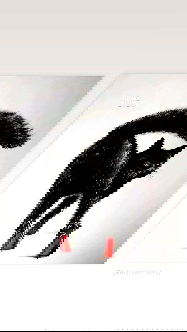 dustheadd dustheadd archive image