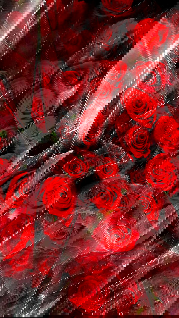 dustheadd dustheadd archive image