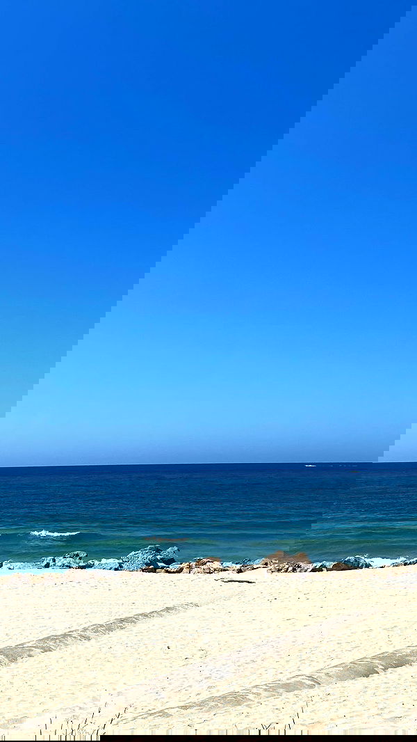 dustheadd dustheadd archive image