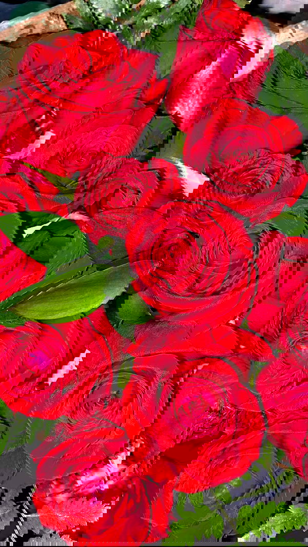 dustheadd dustheadd archive image