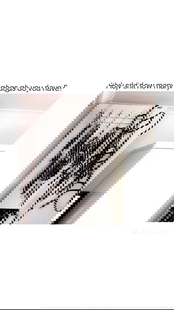 dustheadd dustheadd archive image