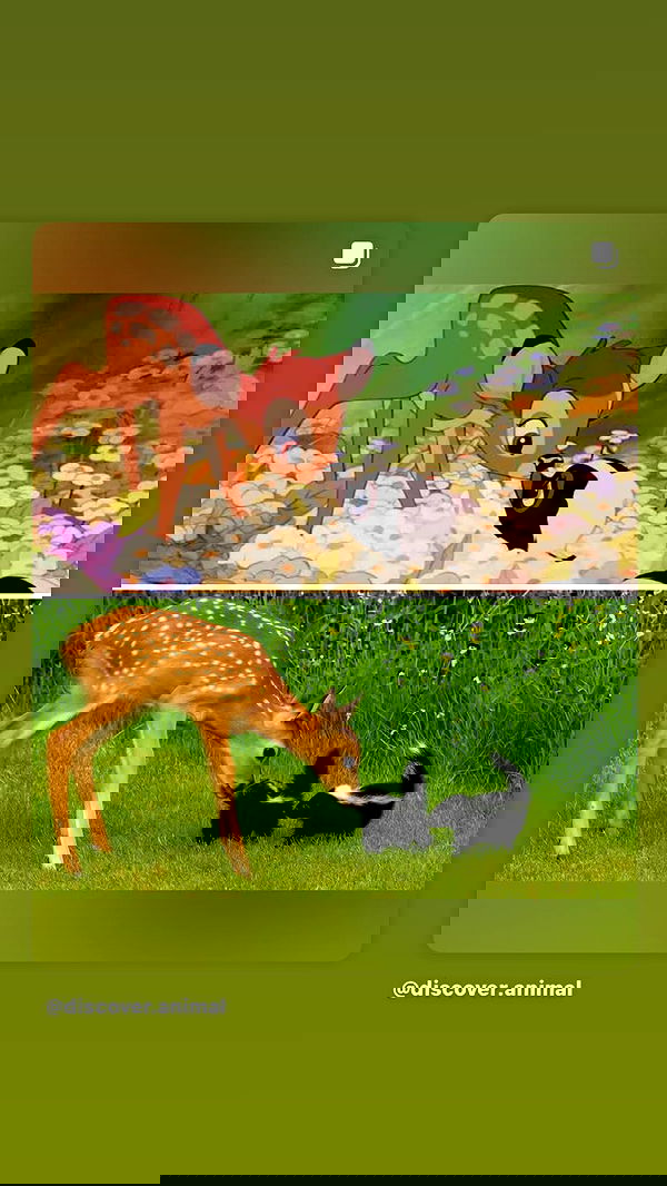 dustheadd dustheadd archive image