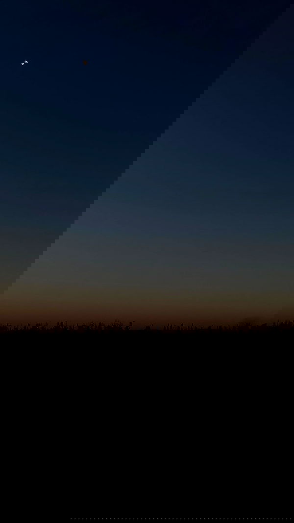 dustheadd dustheadd archive image