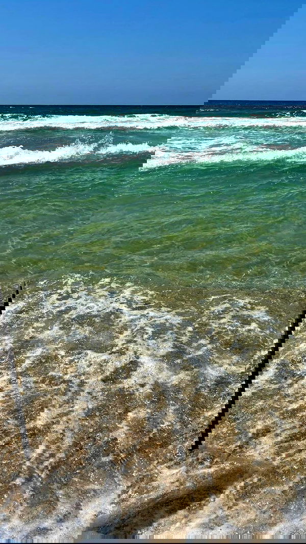 dustheadd dustheadd archive image