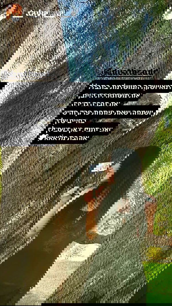 dustheadd dustheadd archive image