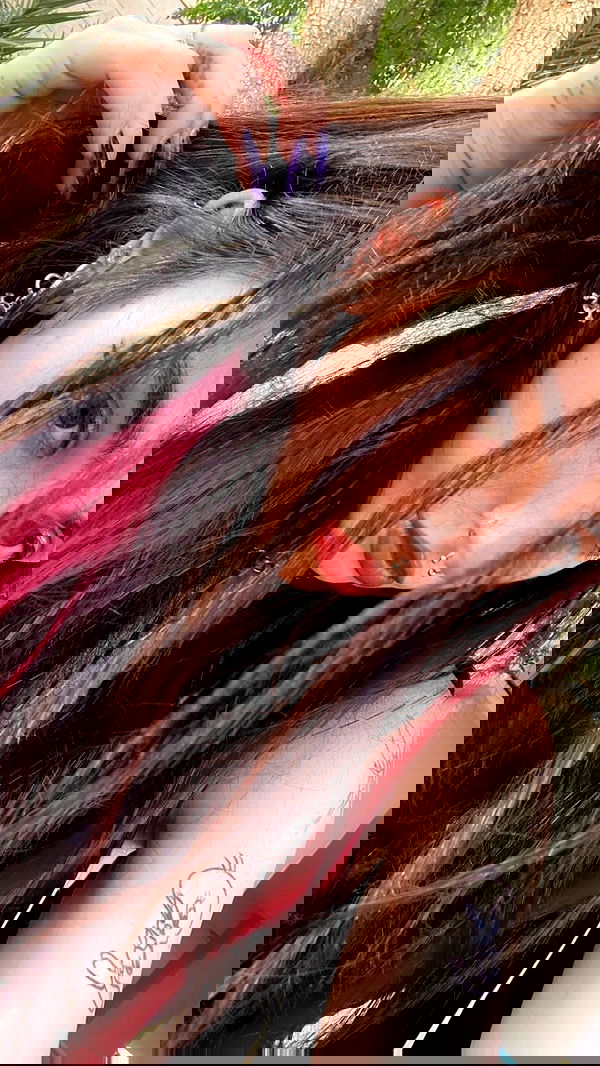 dustheadd dustheadd archive image