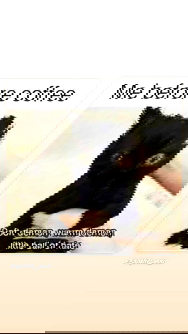 dustheadd dustheadd archive image