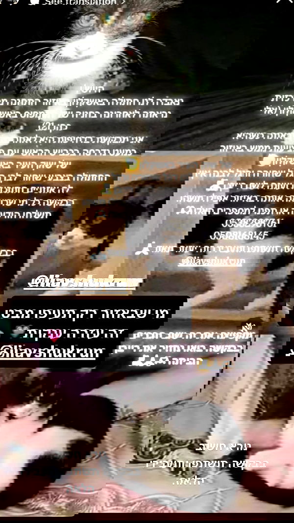 dustheadd dustheadd archive image