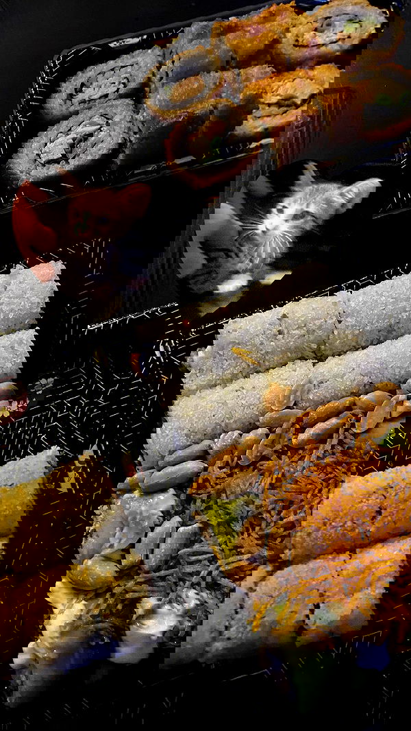 dustheadd dustheadd archive image