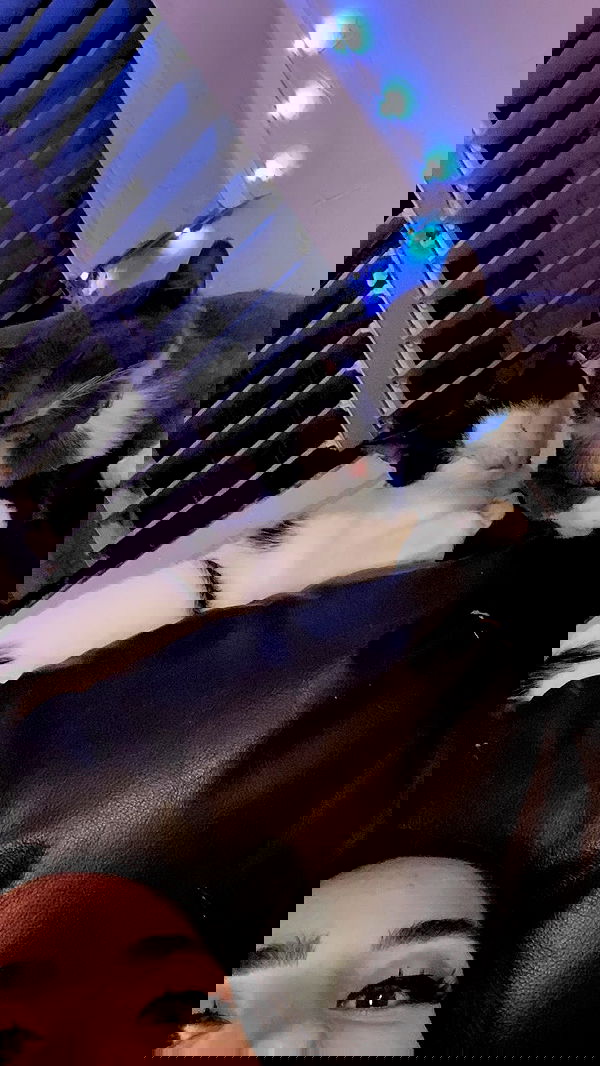 dustheadd dustheadd archive image