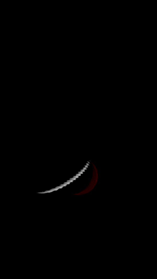 dustheadd dustheadd archive image