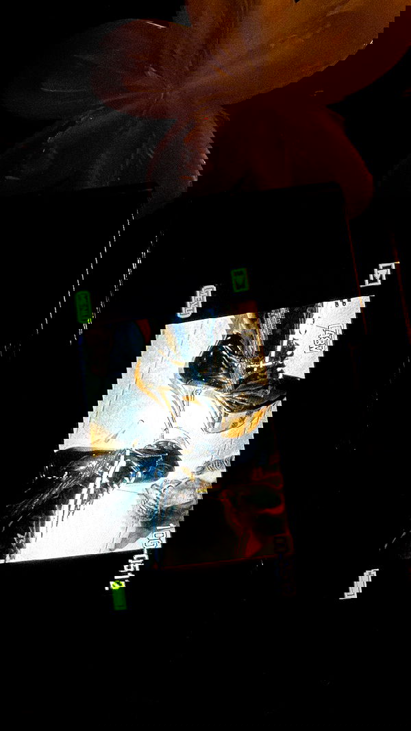 dustheadd dustheadd archive image