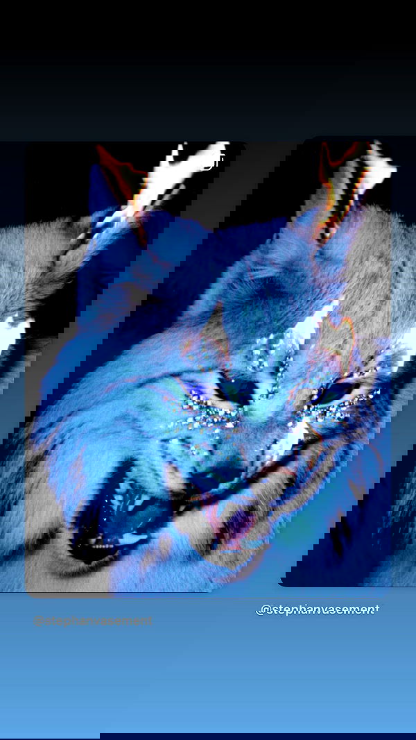 dustheadd dustheadd archive image