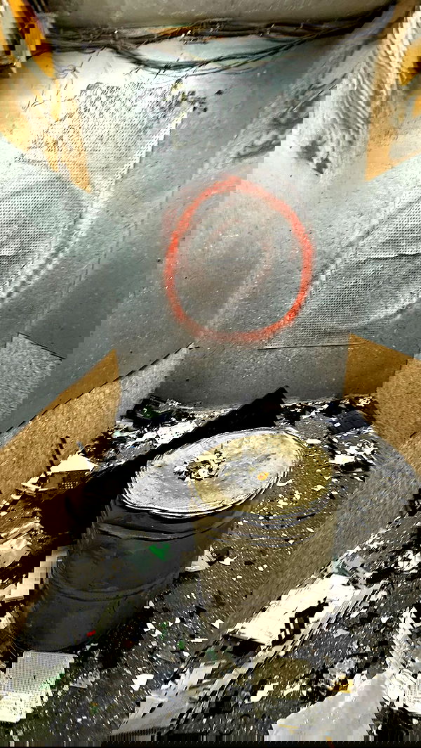 dustheadd dustheadd archive image