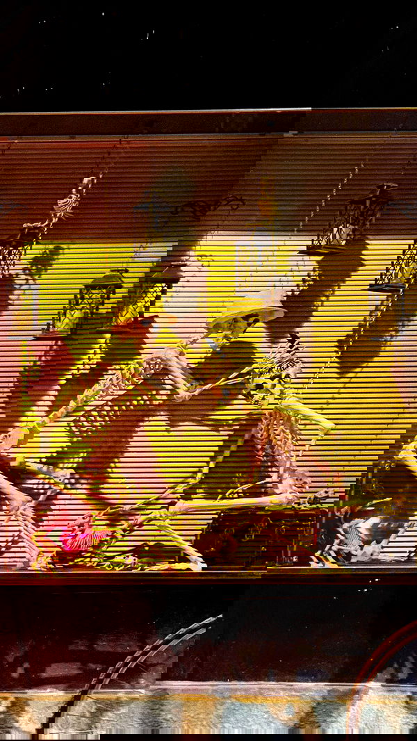 dustheadd dustheadd archive image