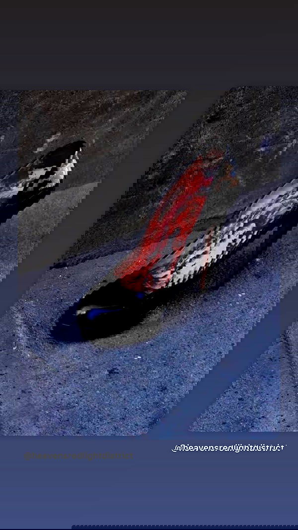 dustheadd dustheadd archive image