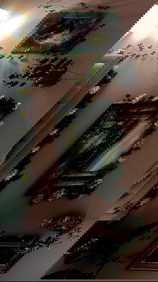 dustheadd dustheadd archive image