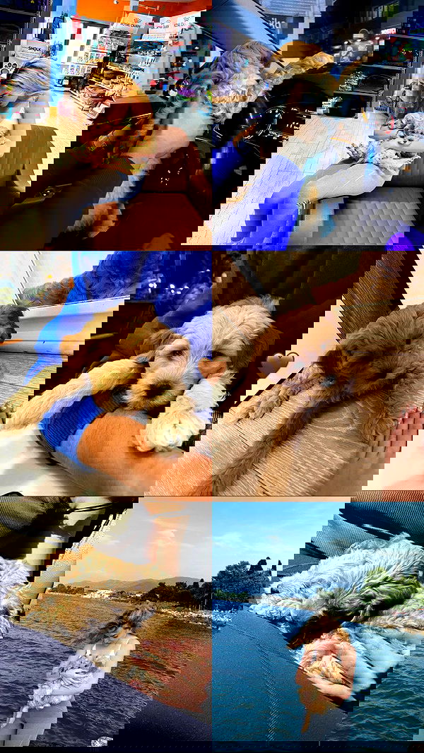 eceebayraktr image ~ Altpins