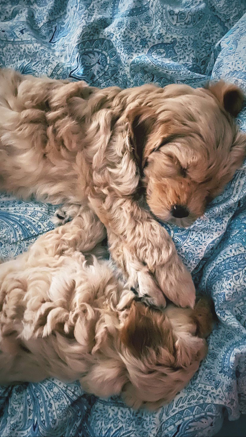 eceebayraktr instagram image archive image