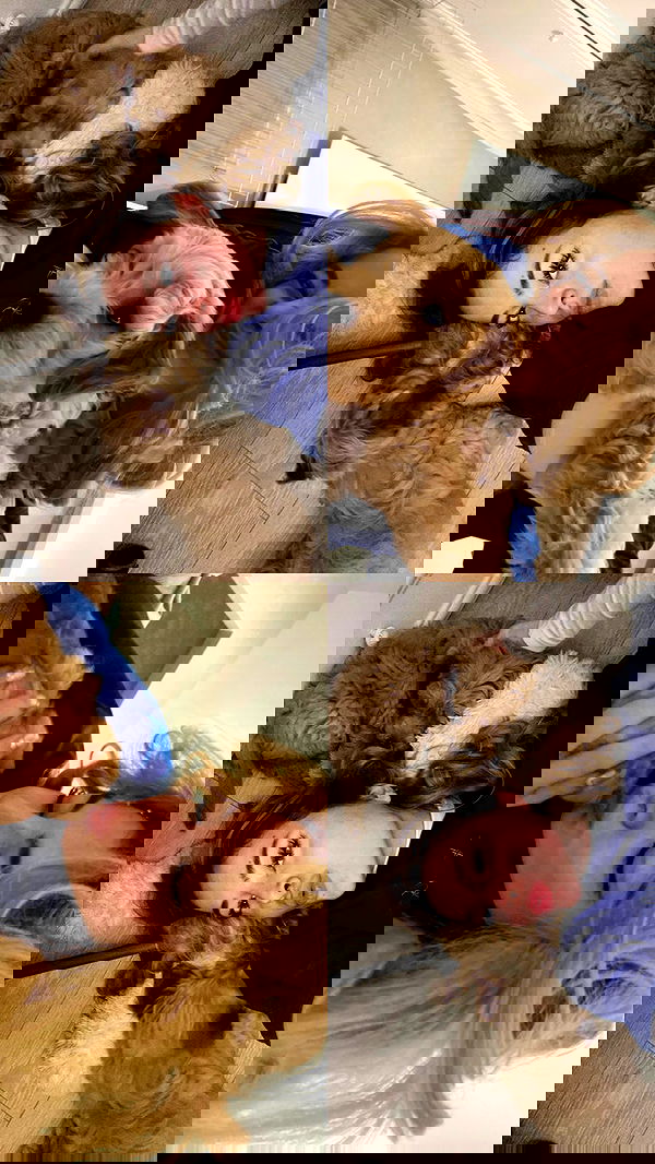 eceebayraktr image ~ Altpins