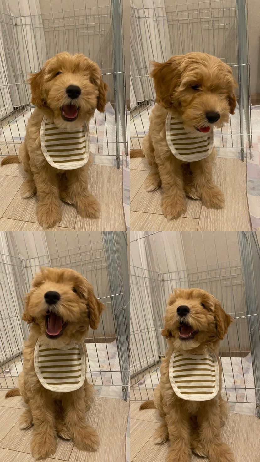 eceebayraktr instagram image archive image