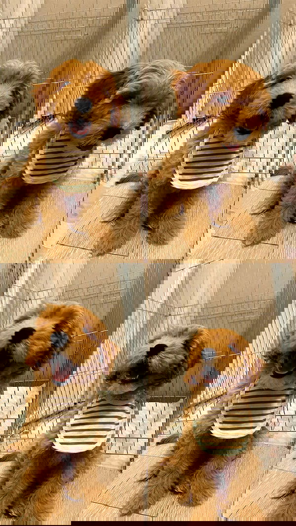 eceebayraktr image ~ Altpins