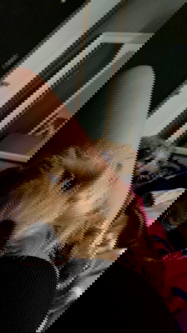 eceebayraktr image ~ Altpins