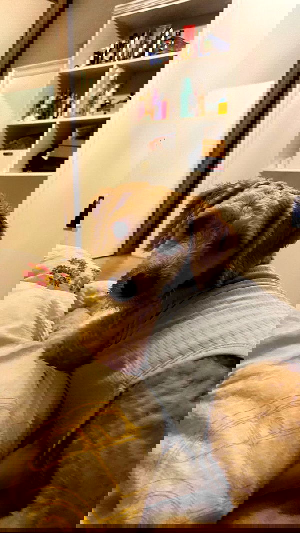 eceebayraktr image ~ Altpins