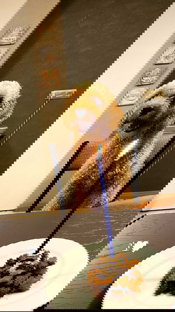 eceebayraktr image ~ Altpins