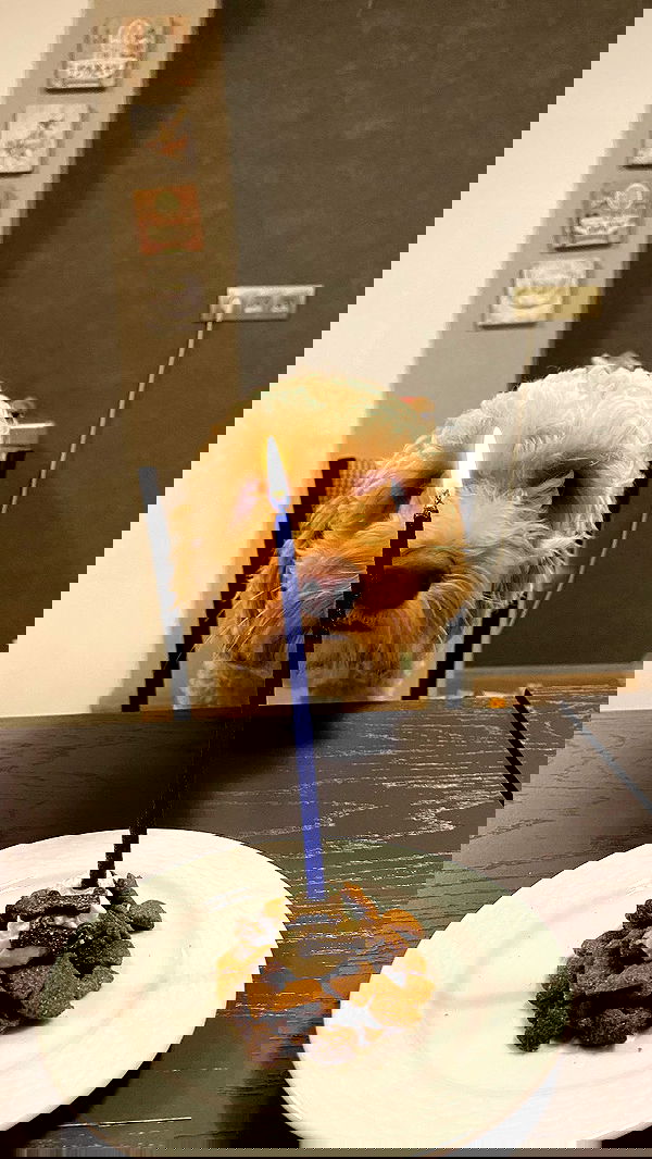 eceebayraktr image ~ Altpins