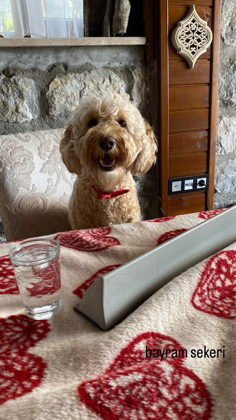 eceebayraktr instagram image archive image