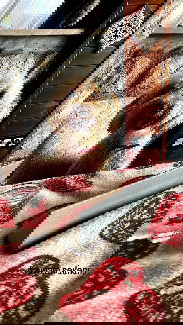 eceebayraktr image ~ Altpins