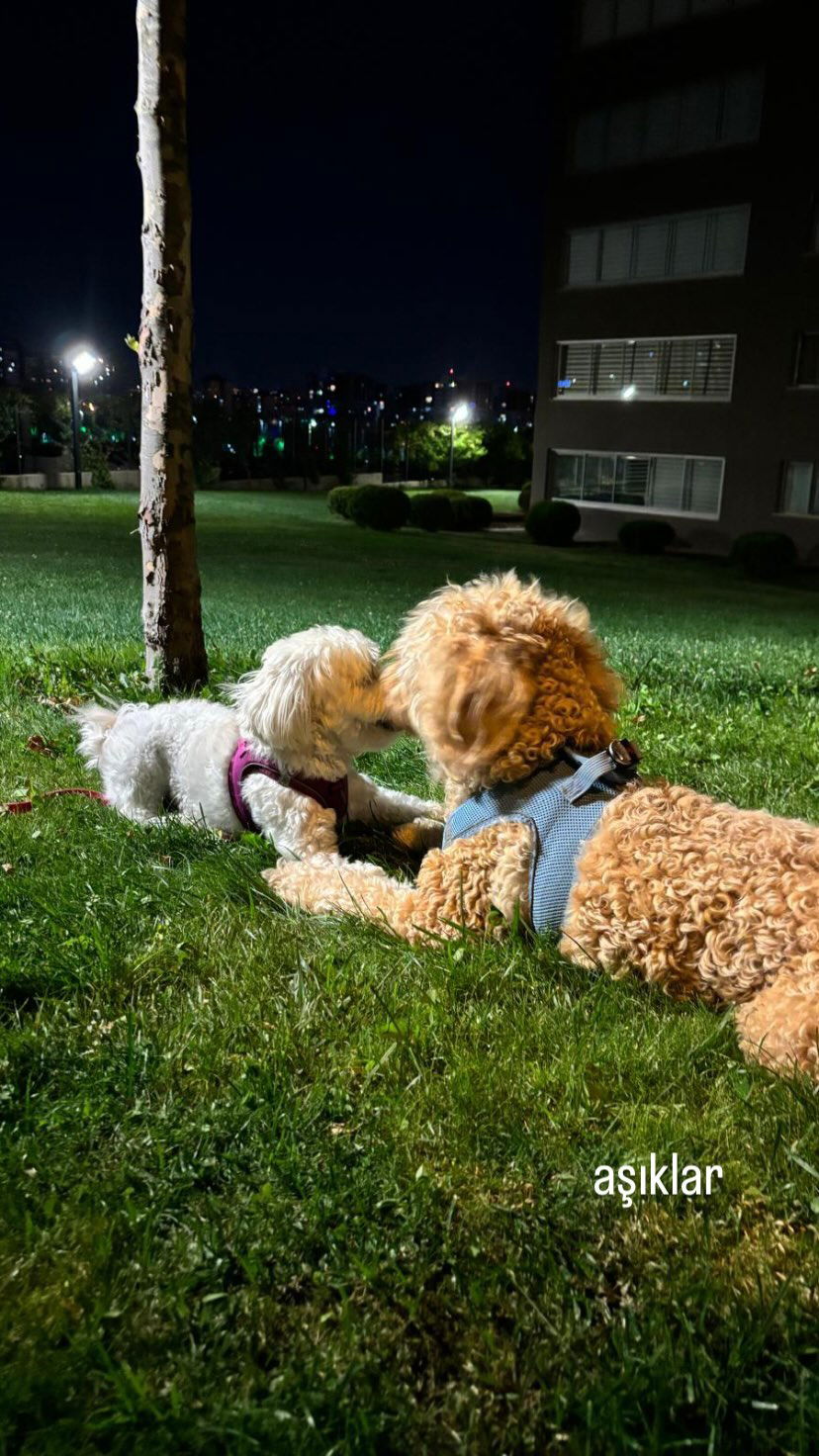 eceebayraktr instagram image archive image