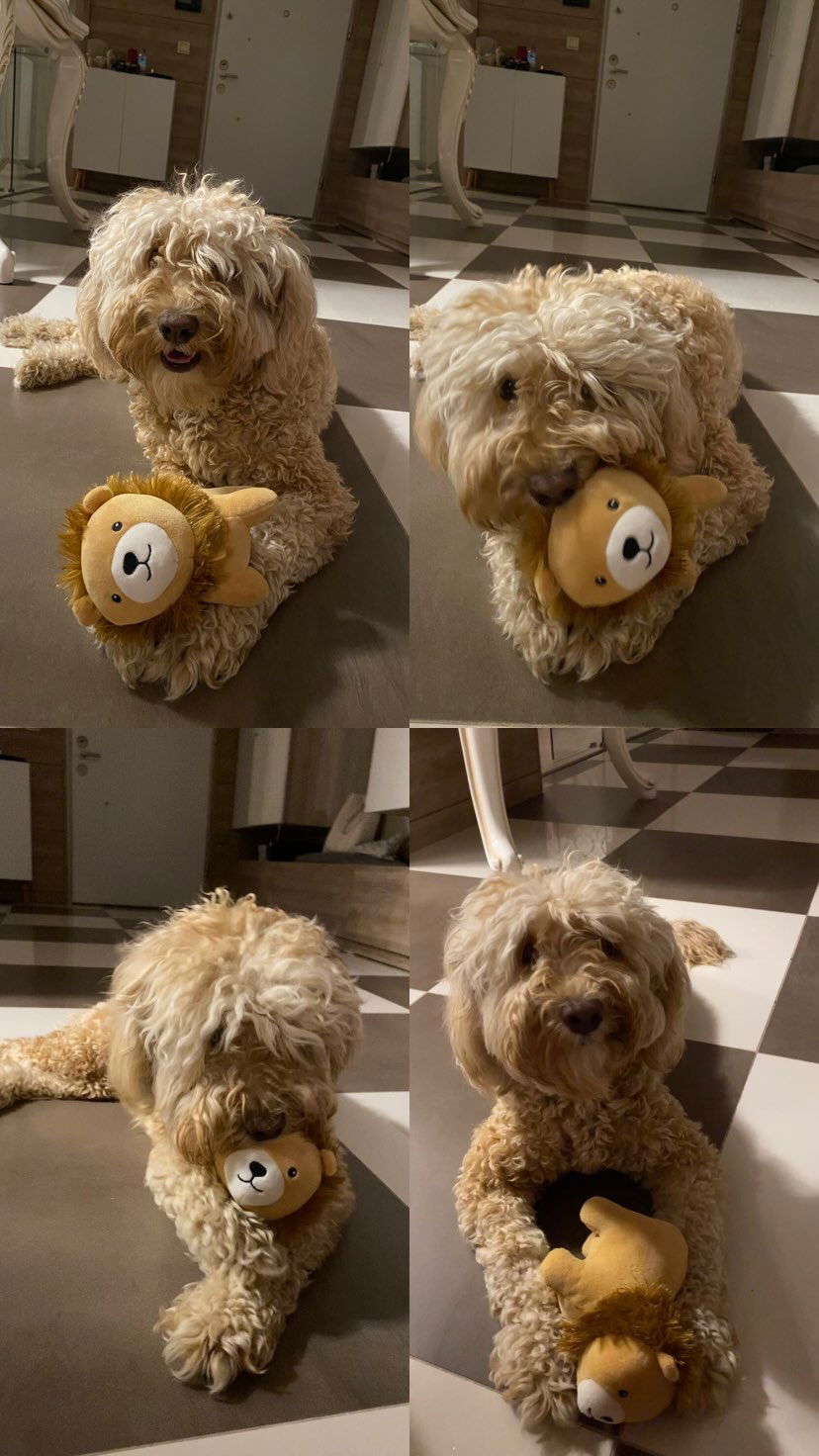 eceebayraktr instagram image archive image