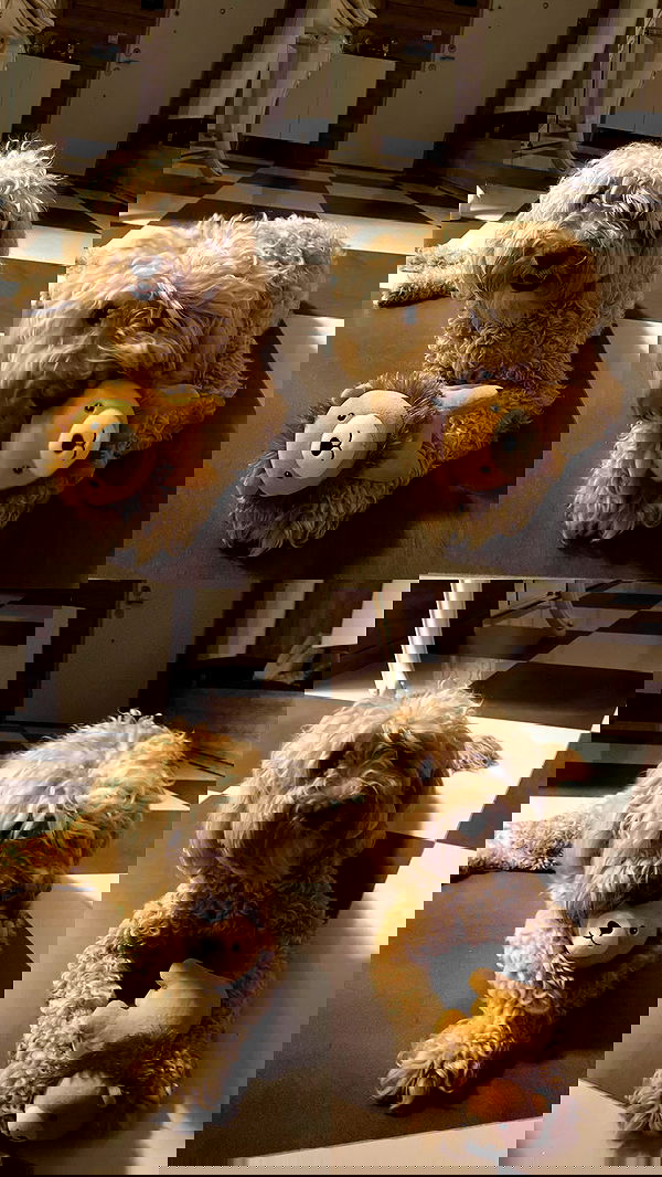 eceebayraktr image ~ Altpins