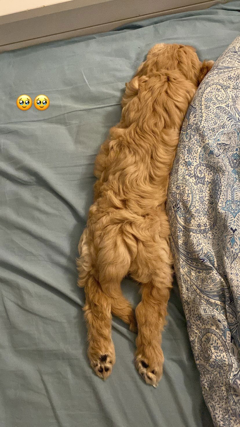 eceebayraktr instagram image archive image