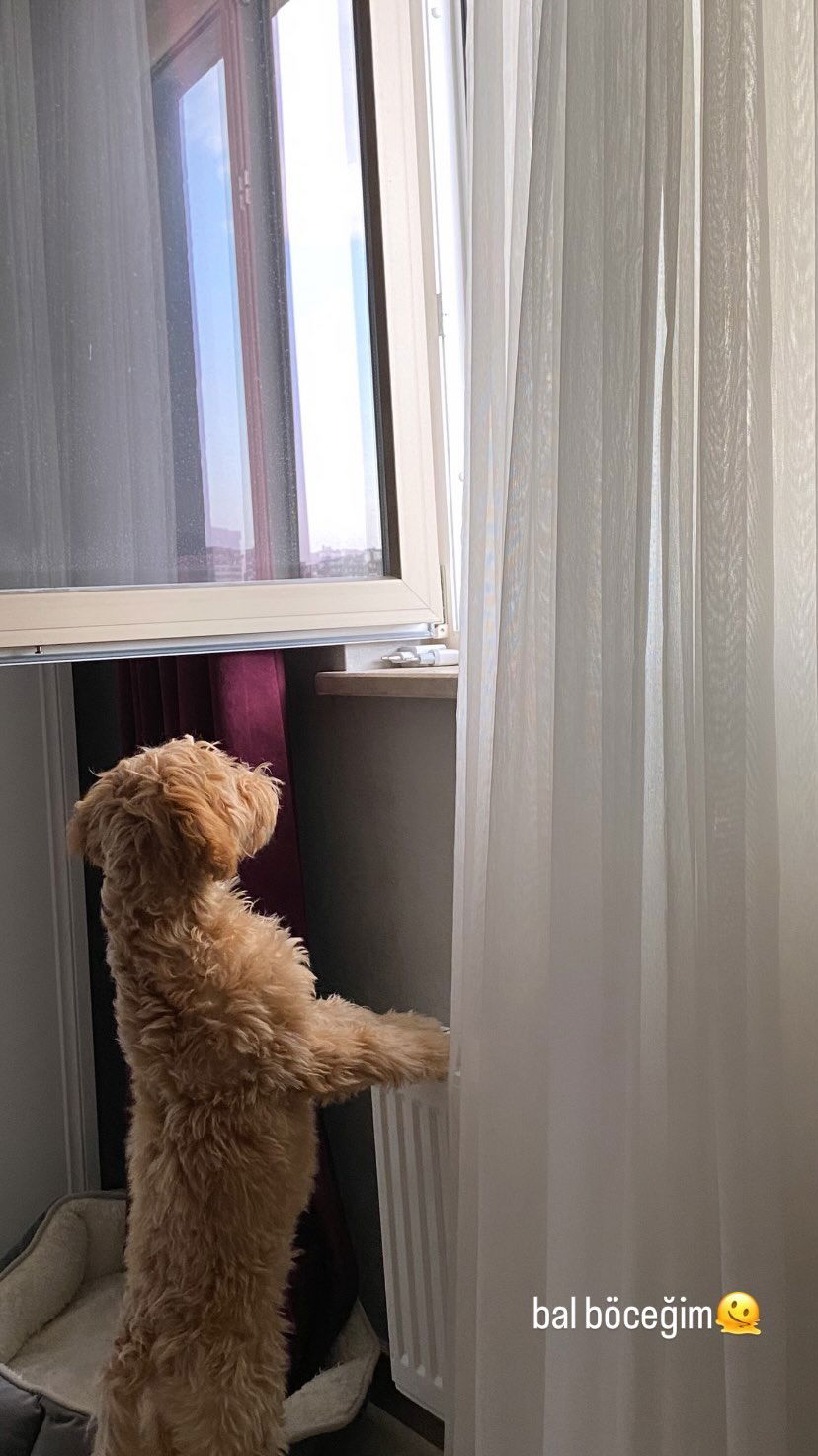 eceebayraktr instagram image archive image