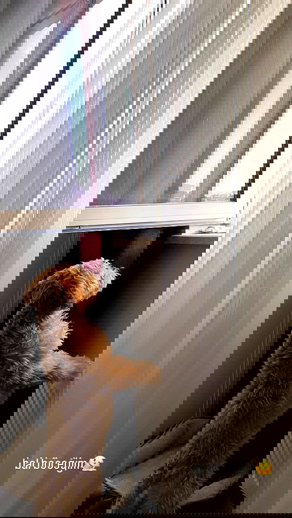 eceebayraktr image ~ Altpins