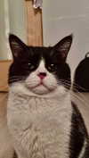eceebayraktr Altpins Profile Picture