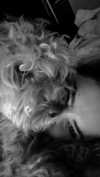 eceebayraktr Altpins Profile Picture