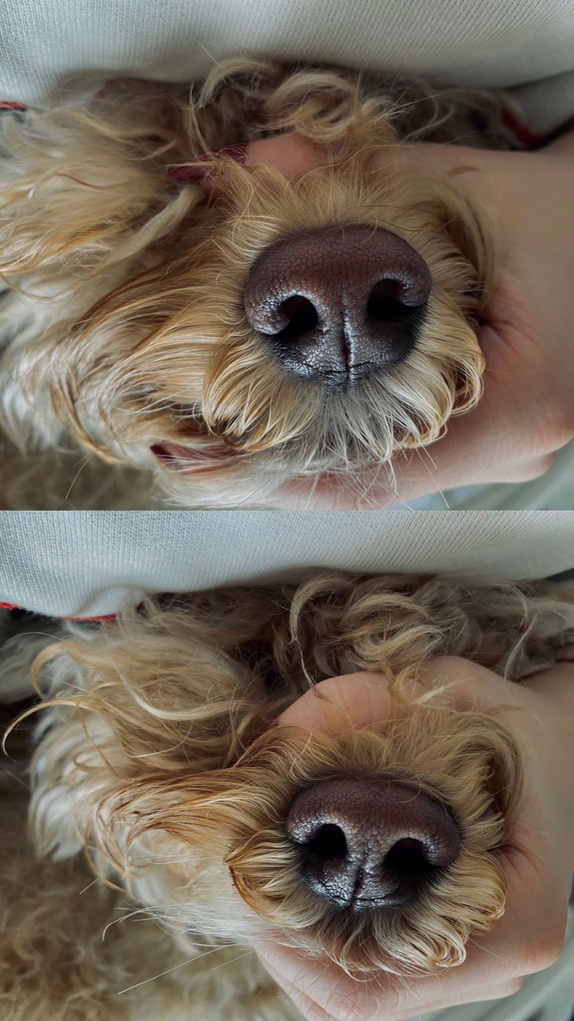 eceebayraktr instagram image archive image