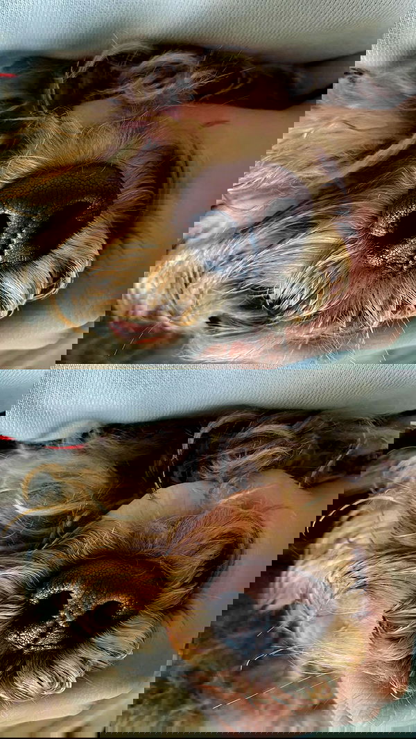 eceebayraktr image ~ Altpins