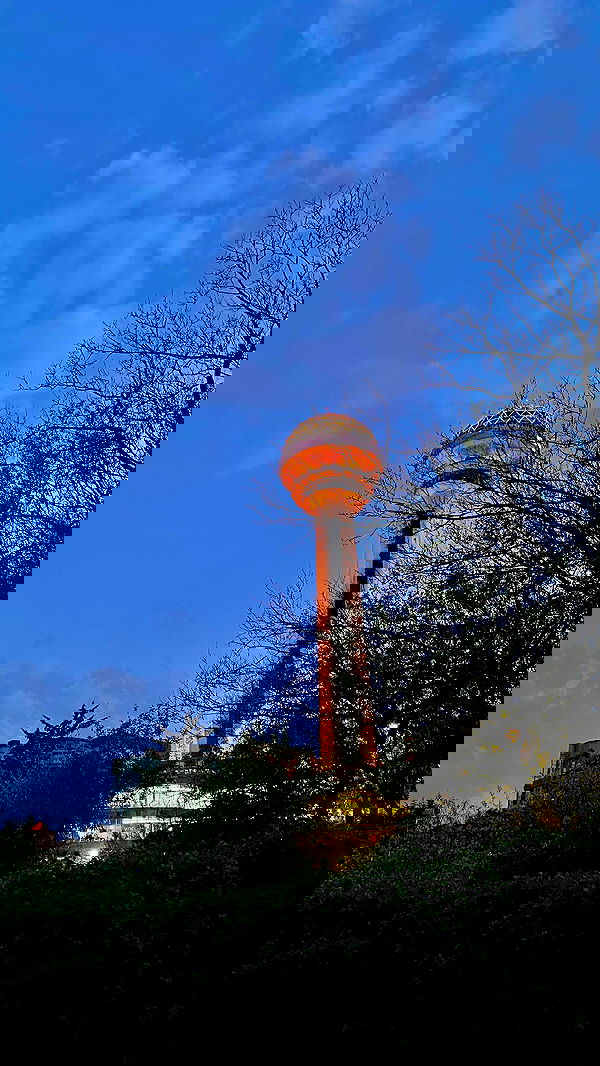 eceebayraktr image ~ Altpins