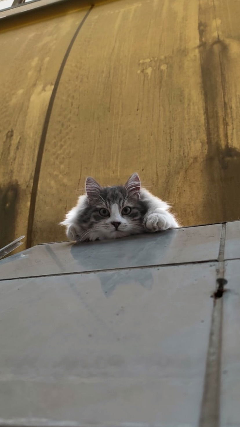 eceebayraktr instagram image archive image