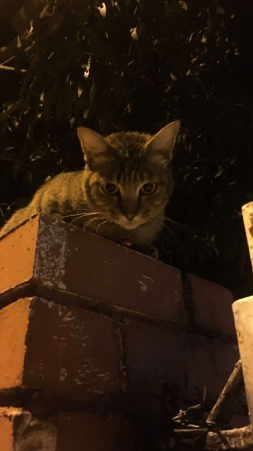 eceebayraktr instagram image archive image